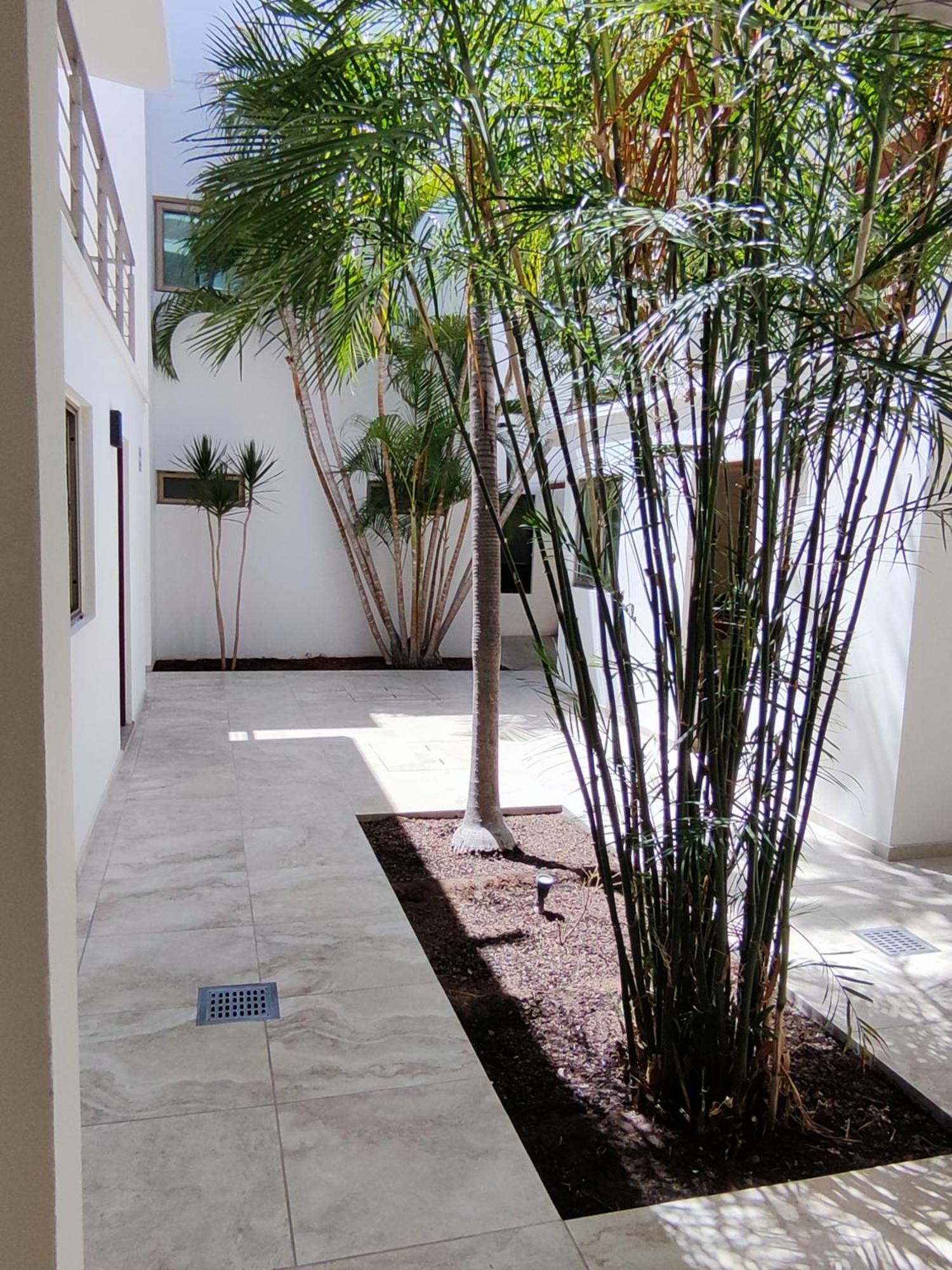 Hotel Lorimar 拉巴斯 外观 照片